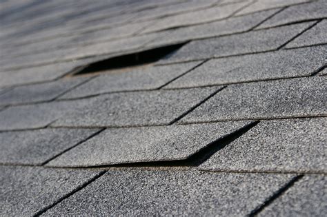 From Pricey to Practical: The Economics of Shingle Magic